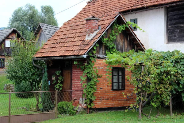 木のドアと窓枠を持つ非常に小さな赤いレンガの庭の家は クローラーの植物や背景にあるフロントと家族の家で新鮮なカット草に囲まれて — ストック写真