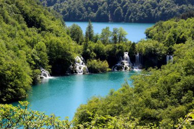 Plitvice göllerinde küçük şelalelerle bağlantılı iki göl, güneşli bir günde yeşil ormanla çevrili Milli parkta