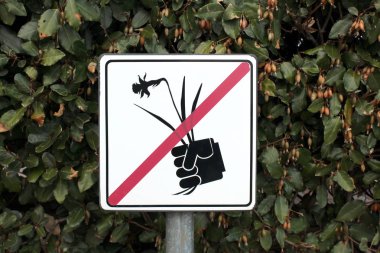 Koyu yeşil hedge önünde gri metal kutup üzerine monte beyaz metal işareti çiçek toplama yok