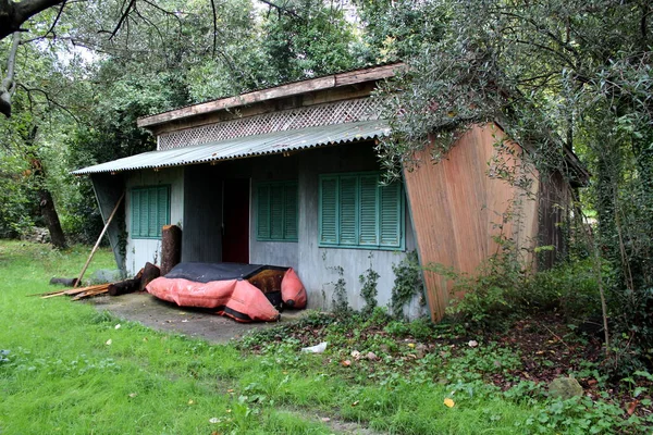 Pequena Casa Campo Madeira Velha Quase Completamente Coberta Com Vegetação — Fotografia de Stock