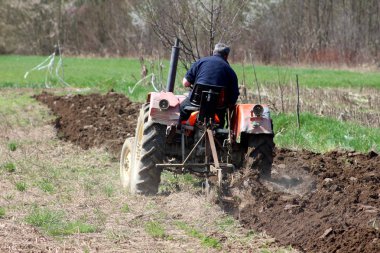 Eski traktör adam sıcak güneşli bahar gününde arka planda kesilmemiş çim ve yoğun ağaçlar ile çevrili alan çiftçilik