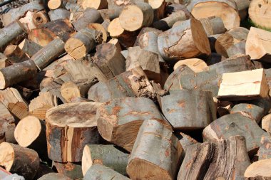 Sıcak güneşli bir gün soğuk kış günü için hazırlık depolama alanına hareket için bekleyen taze kesilmiş odun yığını