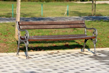 Ahşap panoları ve Barok tarzı Ferforje ile kamu park Bench siyah ve gri taş fayans üzerinde çim ve düşen yaprakları arka planda monte destekler