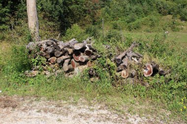 Savaş sırasında terk kış için hazırlanan ve Paletli bitkiler ve sıcak güneşli günde çakıl ve kir yolun yanında yüksek kesilmemiş çim ile büyümüş olmak için sol odun