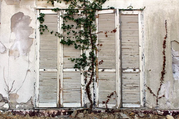 Persianas Altas Cerradas Madera Blanca Ruinas Montadas Pared Agrietada Del — Foto de Stock