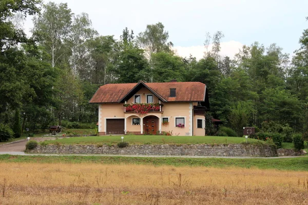 Одинокий Пригородный Дом Вершине Небольшого Холма Светло Розовым Фасадом Цветами — стоковое фото