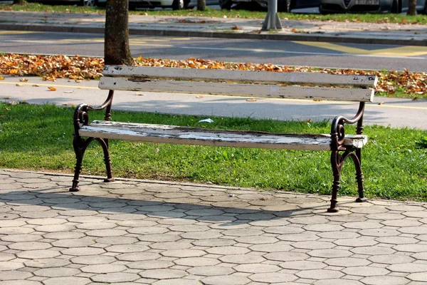 Old public bench made of wood with cracked paint and wrought iron supports mounted on stone tiles next to uncut grass covered with fallen leaves on warm sunny day