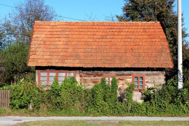 Büyük pencereli çok küçük terk edilmiş ahşap aile evi, ağaçlar ve açık mavi gökyüzü arka planda beton elektrik yardımcı kutup yanında Paletli bitkiler ve yoğun bahçe bitki örtüsü ile kısmen büyümüş