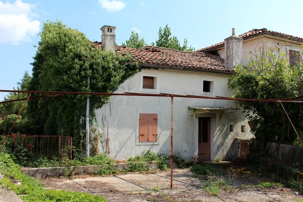 Abandoned House Ruins Partially Overgrown Crawler Plant Other Vegetation Surrounded — Stock Photo, Image