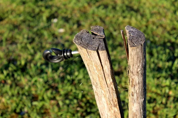 Tronco Árvore Rachado Com Suporte Plástico Montado Para Fio Metal — Fotografia de Stock