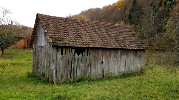 不完全な草 植物や大きな木に囲まれたボードや小さな屋根のタイルが欠落している部分的に壊れた古い国の納屋 — ストック写真