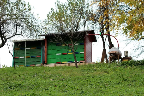 Colorida Estructura Del Patio Trasero Colmena Con Techo Improvisado Rodeado — Foto de Stock