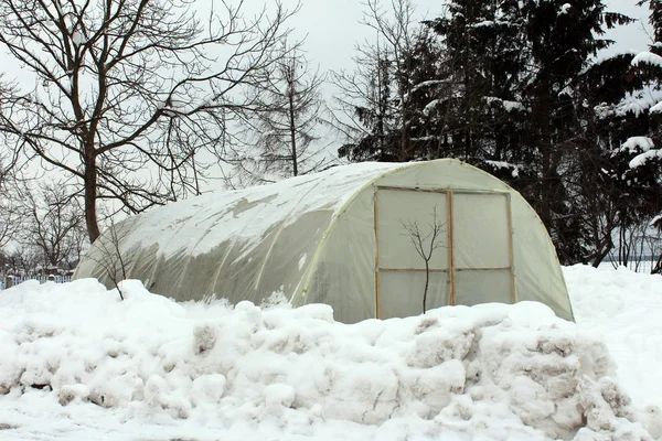 Invernadero Plástico Con Grandes Puertas Madera Rodeadas Nieve Caída Árboles —  Fotos de Stock