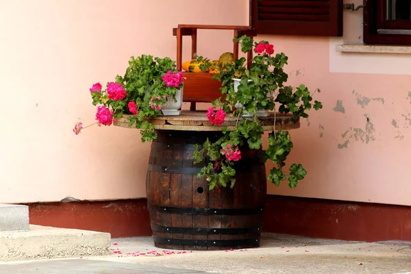 Wooden Vine Barrel Used Garden Decoration Zinnia Flowers Decorative Pumpkins — Stock Photo, Image