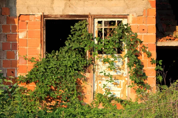 Κόκκινα Τούβλα Σπίτι Εγκαταλείφθηκε Κατά Διάρκεια Της Κατασκευής Σπασμένο Παράθυρο — Φωτογραφία Αρχείου