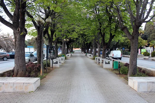 Pasarela Piedra Con Árboles Viejos Lámparas Botes Basura Hierba Vegetación — Foto de Stock