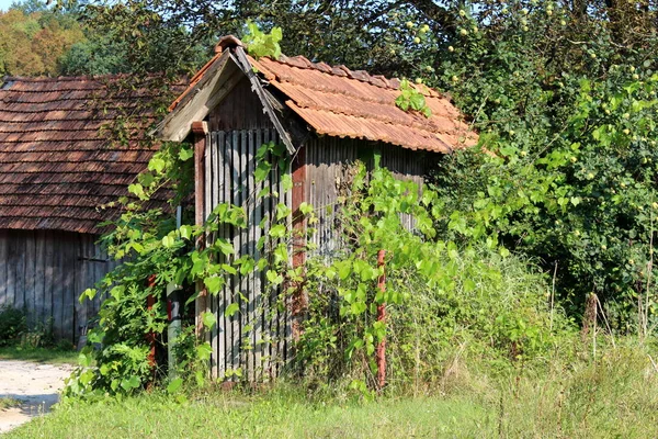 Hangar Maïs Utilisé Pour Séchage Stockage Des Épis Maïs Fabriqués — Photo