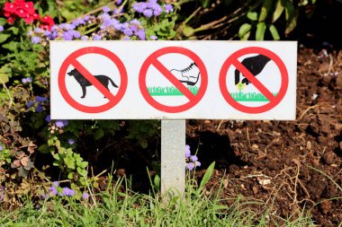 Hiçbir köpek çim ve sıcak güneşli bir gün çim ve çiçekler ile çevrili yerel parkta yerleştirilmiş işareti izin hiçbir toplama çiçekler hiçbir yürüyüş izin