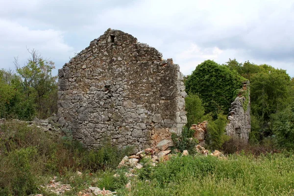 Rovine Tradizionali Case Pietra Con Tetto Mancante Parzialmente Ricoperto Piante — Foto Stock