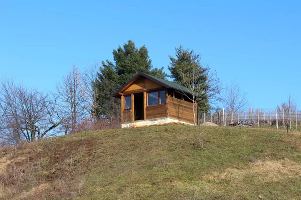 Unfinished small wood cabin on top of the hill surrounded with partially dried grass, trees without leaves, vineyard and tall pines on cold winter day
