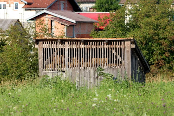 Wooden backyard shed with partially open part filled with hay bales surrounded with high uncut grass filled with small flowers with trees and houses in background on warm sunny day