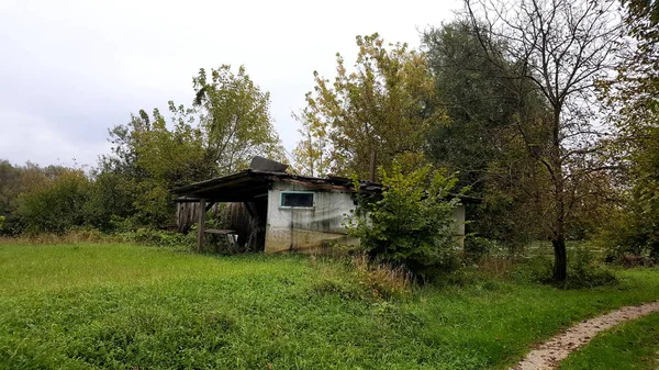 Kesilmemiş Çim Ağaçlar Ile Çevrili Küçük Terkedilmiş Kırık Ahşap Kulübe — Stok fotoğraf