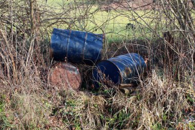 Doğada çöp olarak atılan paslı eski yağ fıçıları, güneşli kış gününde kalın kurutulmuş bitki örtüsü ve yeşil çim ile çevrilidir