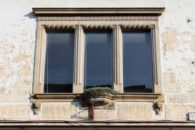 Sıcak güneşli bir gün üzerinde kırık harap ev duvarında ön Dekoratif beton çerçevesi ve küçük çiçek ile üç uzun boylu pencereler