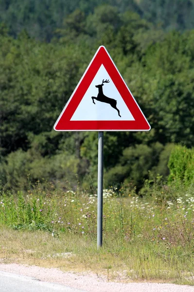 Cruce Ciervos Señal Advertencia Carretera Advierte Que Los Ciervos Menudo —  Fotos de Stock