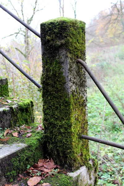Overgrown stone fence pole covered almost completely with moss with two thick metal pipes connecting it to other poles and overgrown stone steps on cold foggy autumn day