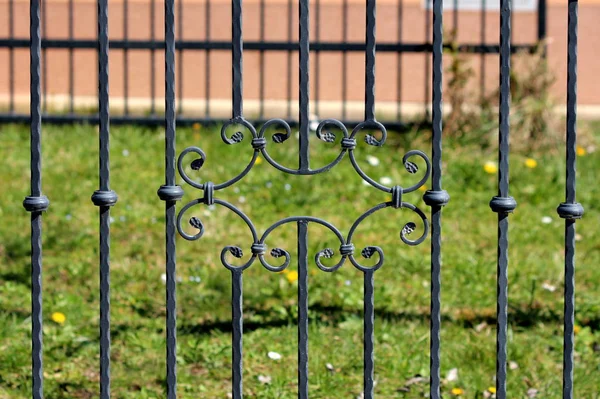 Wrought iron backyard fence with decorative middle and uncut grass in background on warm sunny spring day