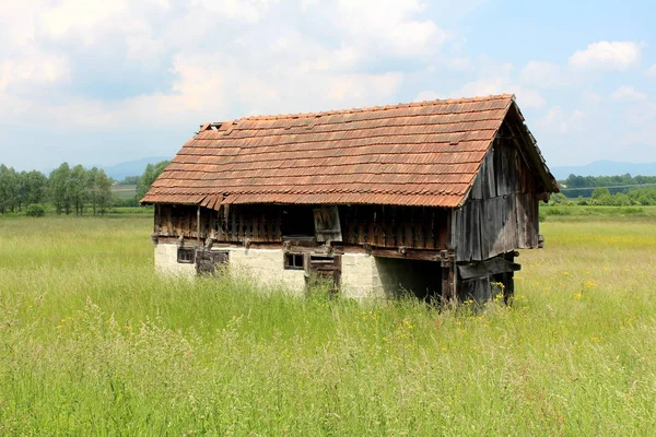 破烂不堪的废弃旧木制谷仓 砖基础由旧木板和破碎的屋顶瓦片制成 周围环绕着高大的绿草和背景为多云的蓝天的花朵 — 图库照片