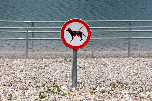 Vervallen Geen Honden Toegestaan Road Teken Metalen Paal Lokale Grind — Stockfoto