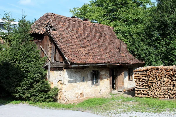 Abandoned small family house with cracked walls and dilapidated facade covered with partially missing roof tiles surrounded with dense trees and prepared firewood in front on warm sunny spring day