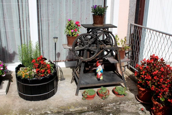 Vintage Retro Machine Used Garden Decoration Flower Holder Covered Surrounded — Stock Photo, Image