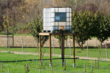 Arkaplanda çimen ve sık ağaçlarla çevrili aile evinin arka bahçesindeki bahçe damlaları sulama sistemine bağlı yüksek ahşap çerçevede su depolamak için kullanılan metal kafesli IBC plastik tankı.