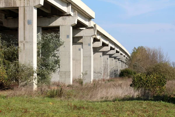 Wiersz Silny Duży Betonowy Most Drogowy Kolumny Wsparcia Otoczony Nieobciętej — Zdjęcie stockowe