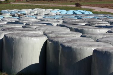 Sıcak sonbahar gününde, dar kırsal yolun yanındaki işlenmemiş çimlerin üzerinde muhafaza etmek ve depolamak için mavi ve beyaz naylon naylona sarılı yoğun miktarda kirli saman balyaları.