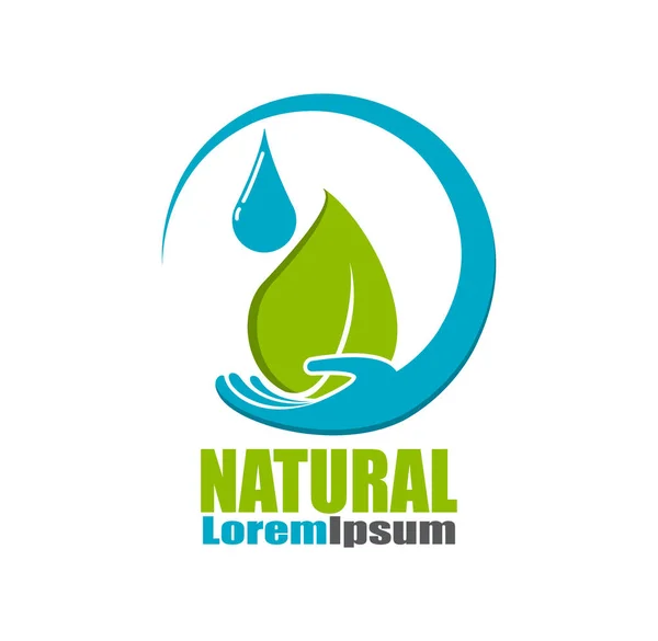 Logo Nature. Green leaf on a hand Eco Product