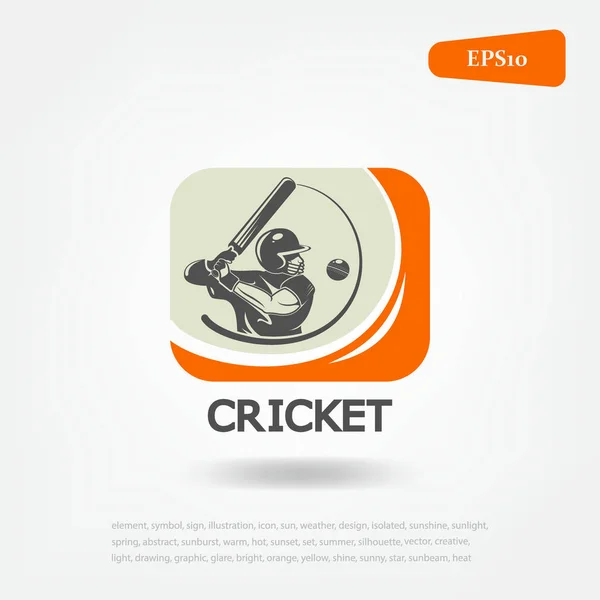 Sport Cricket Logo Cricket Sport Jeu Sport — Photo