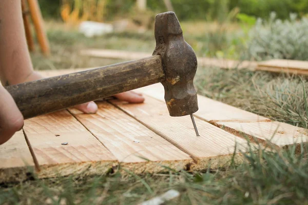 Ana çekiç çivi bir ahşap tahta çim içine
