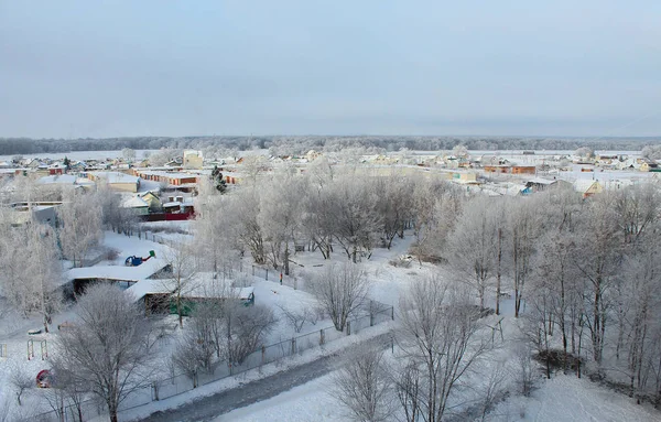 Árvores e casas na vista superior de neve — Fotografia de Stock