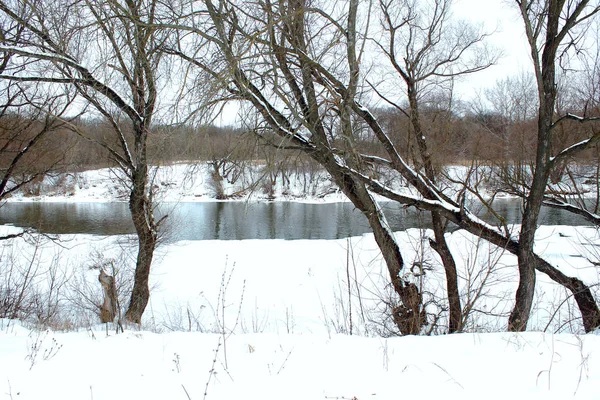 Зимний снежный пейзаж с морозными деревьями в лесу, не замерзшая река — стоковое фото