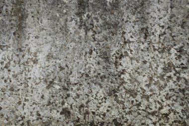 arka plan doku bulanık için eski gri beton duvar