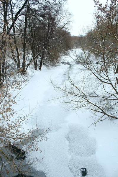 Bir Orman Kış Manzara Değil Donmuş Nehir — Stok fotoğraf