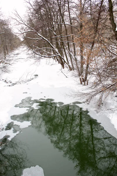 Nicht Gefrorener Fluss Einer Winterlichen Waldlandschaft — Stockfoto