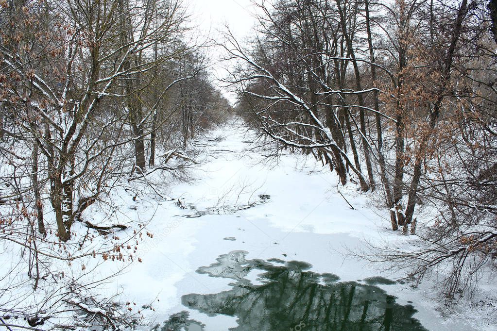 Not frozen river in a forest winter landscape