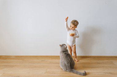 tanımlama bilgileri ve gri kedi evde beyaz gömlek küçük yürümeye başlayan çocuk