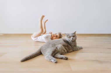 Kedi