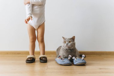 cropped shot of little boy and grey british shorthair cat in sleepers at home clipart